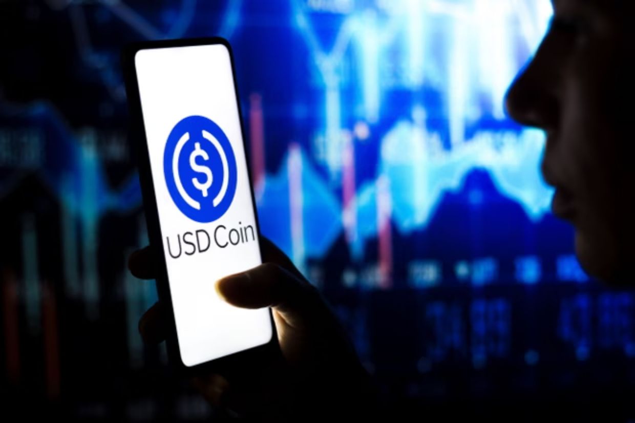 USDC USDT DAI diversified stablecoin portfolio